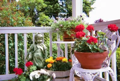 Container garden