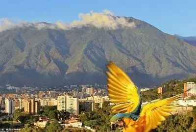 vzla