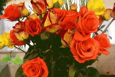 ramo de rosas jigsaw puzzle