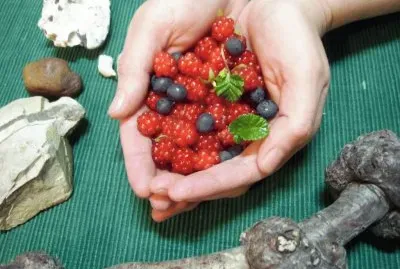 frutos del sur argentino jigsaw puzzle
