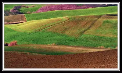 colores jigsaw puzzle