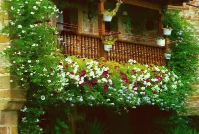 Barcena Mayor - Cantabria