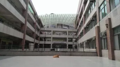 פאזל של 031003