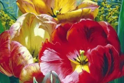 פאזל של Spring Tulips