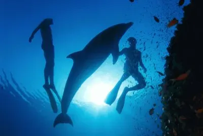 Underwater Wallpaper (8)