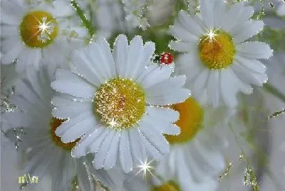 imagens jigsaw puzzle