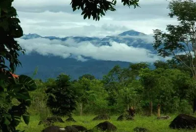 vzla