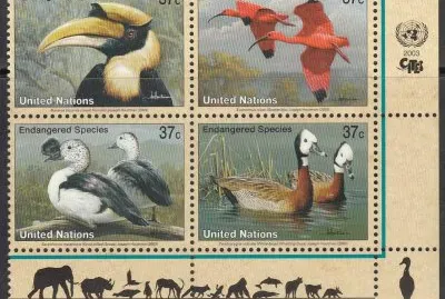 פאזל של Protection de la nature