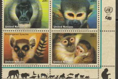 פאזל של Protection de la nature