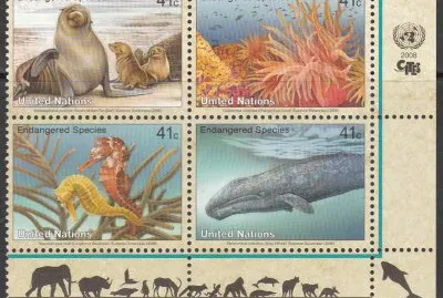 פאזל של Protection de la nature