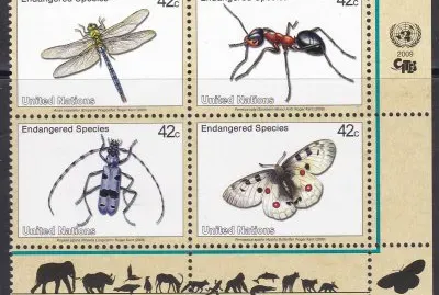 פאזל של Protection de la nature