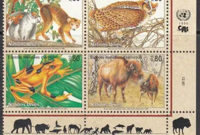 פאזל של Protection de la nature