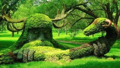 Jardim BotÃ¡nico Montreal