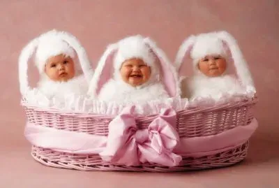 boccioli jigsaw puzzle