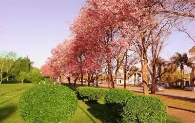 Humberto Primo. Santa Fe. Argentina