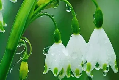 imagens jigsaw puzzle