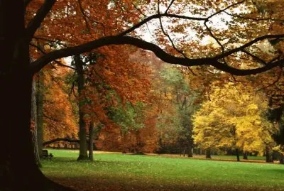 otoÃ±o