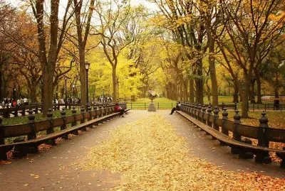 otoÃ±o