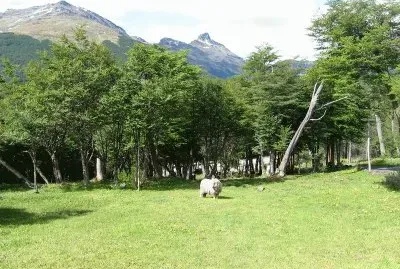 En Tierra del Fuego. Argentina