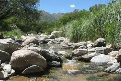 En Cortaderas. San Luis. Argentina