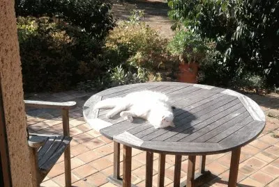 Litzy jigsaw puzzle