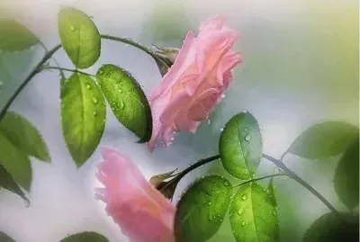 imagens jigsaw puzzle