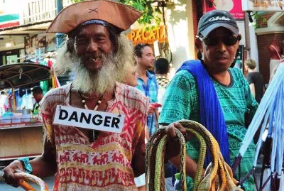 peligrosas serpientes de madera jigsaw puzzle