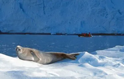 descansando jigsaw puzzle