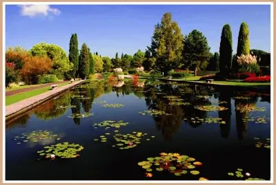 sosiego jigsaw puzzle