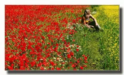 primavera jigsaw puzzle