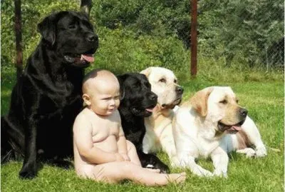 פאזל של mom#205