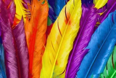 Amazing Colorful Feathers jigsaw puzzle