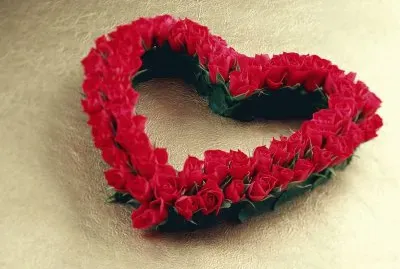 heart of roses