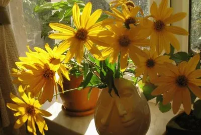 imagens jigsaw puzzle