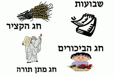 ×©×‘×•×¢×•×ª
