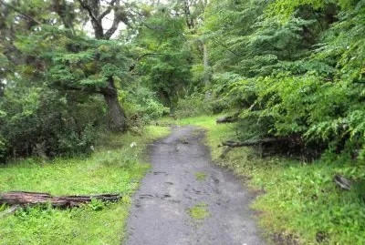 En Tierra del Fuego. Argentina