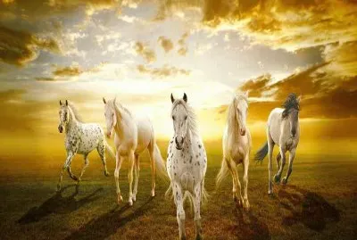 imagens jigsaw puzzle