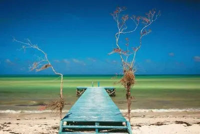 פאזל של landscape