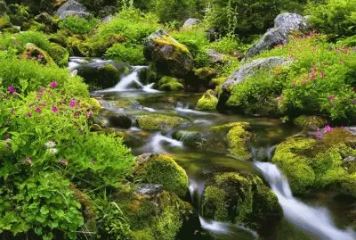 Paisaje