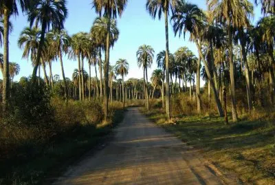 En la Provincia de Entre RÃ­os. Argentina