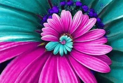 Amazing Flower