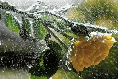 lluvia jigsaw puzzle