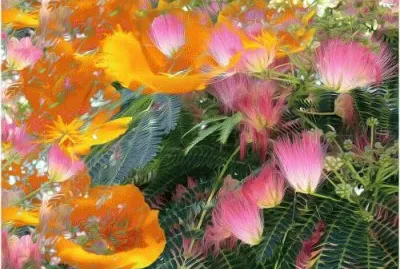 imagens jigsaw puzzle