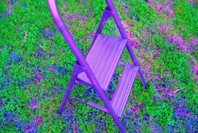 Purple Step Ladder