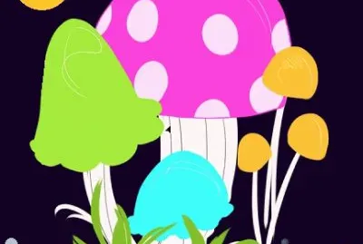 lily6
