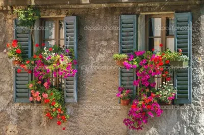 imagenes jigsaw puzzle