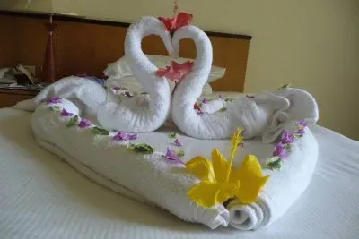 arte efÃ­mero jigsaw puzzle