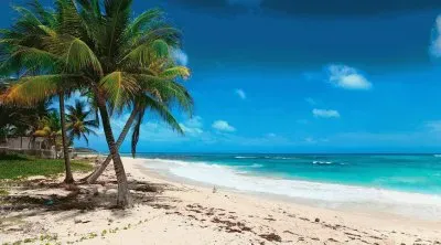 פאזל של bahamas