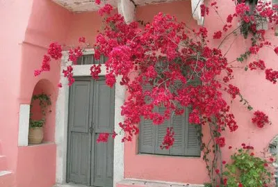 פאזל של imagenes