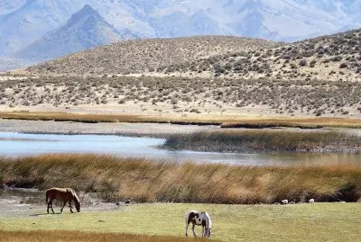 Cerca de Esquel. Chubut. Argentina